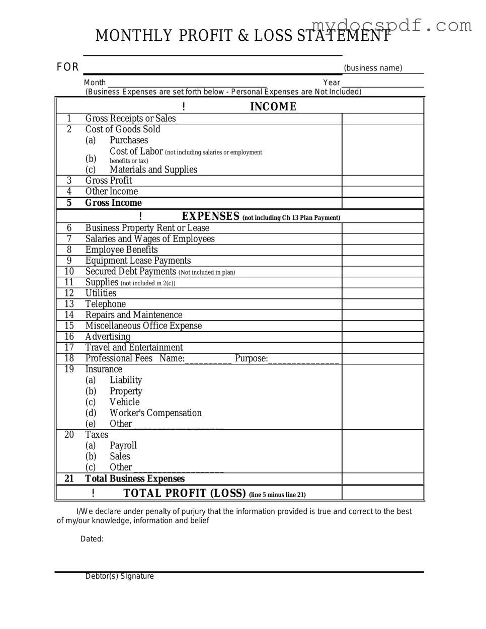 Get Profit And Loss Form in PDF