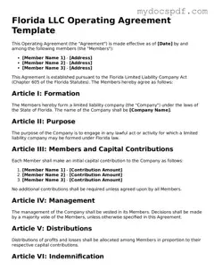 Fillable Florida Operating Agreement Document