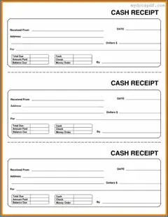 Get Cash Receipt Form in PDF